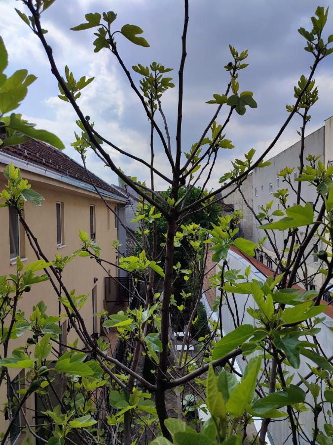 Centar Novi Sad-Apartman No 3 Ngoại thất bức ảnh